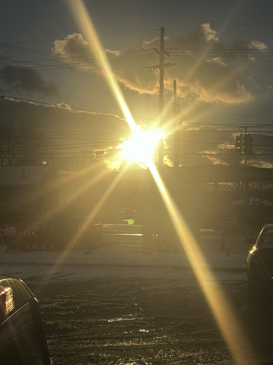 Steve Cook tweet media