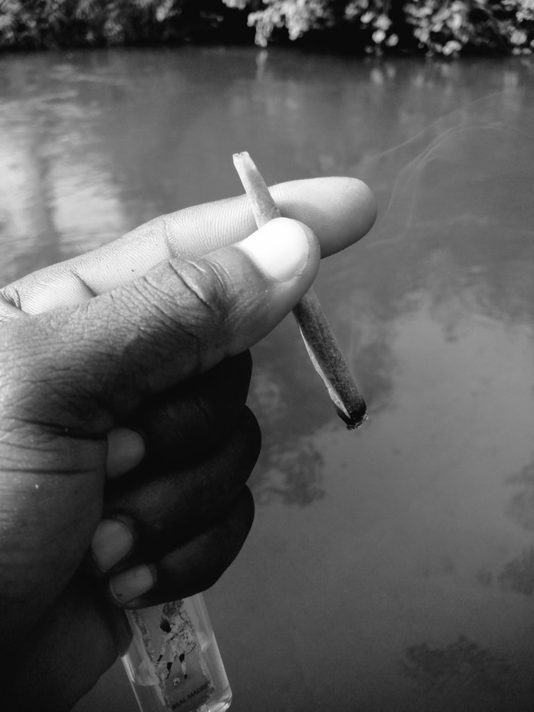 mhstaice1's tweet photo. Nothing but peace 🕊️ and love 💚🍃💨 https://t.co/7Ew6jxQAwg