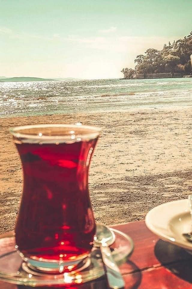 🍂  Bir  Sürü  Taş  Oturdu  Yüreğime...
      Ve  Bir  Sürü  Hayalimi Telef  Ettiler...

"  Ama  Benim  Suçum  Ne  Diyemedim"