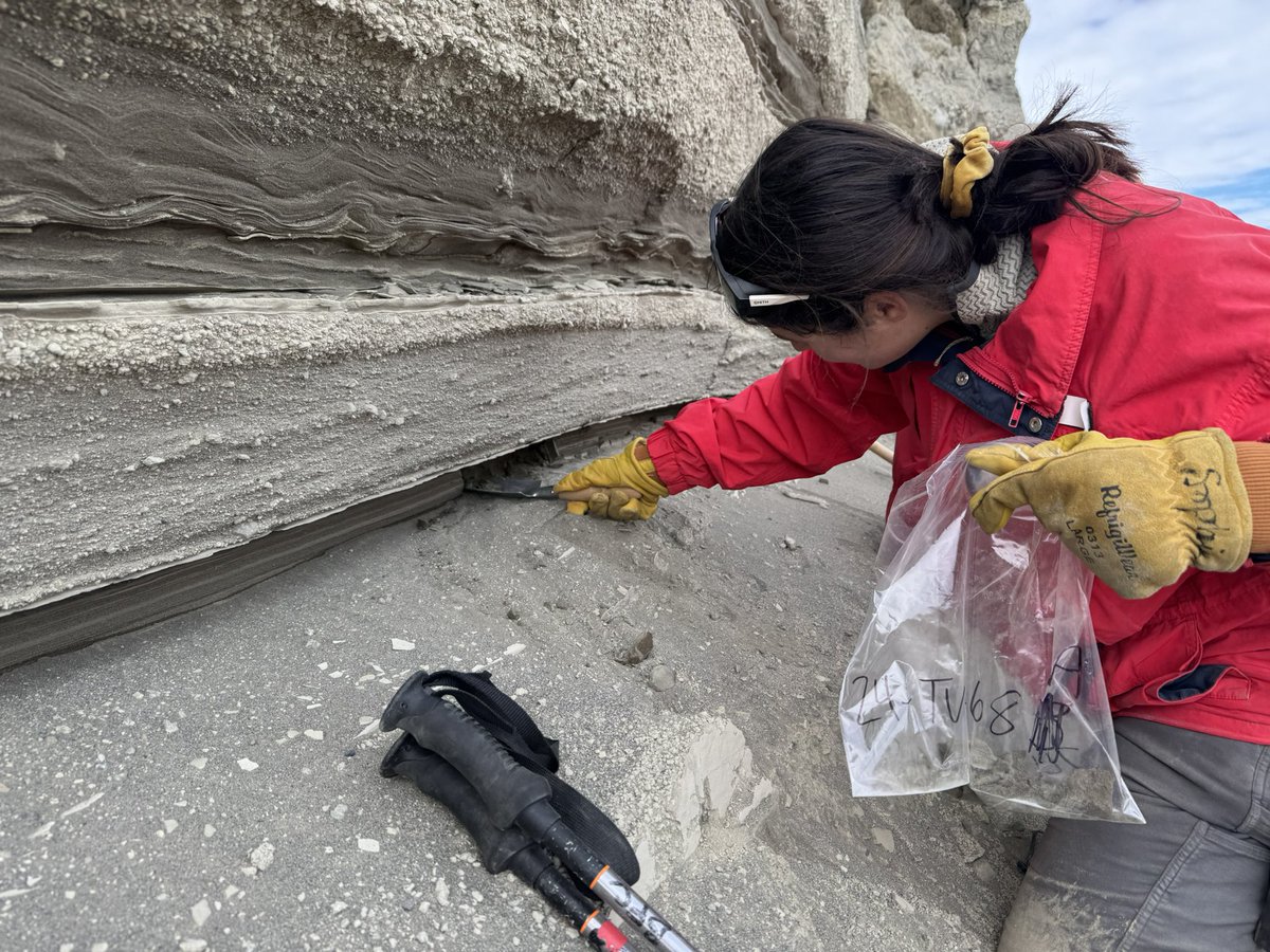 Dan Morgan tweet media