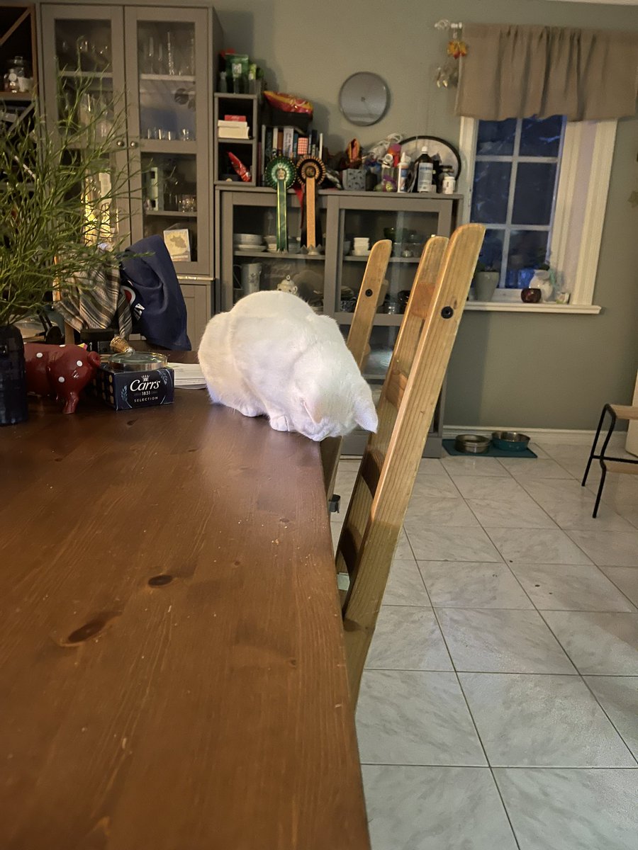 ความประทับใจ :

ต่อคน 😞
ต่อสัตว์ ❤️❤️❤️❤️❤️❤️