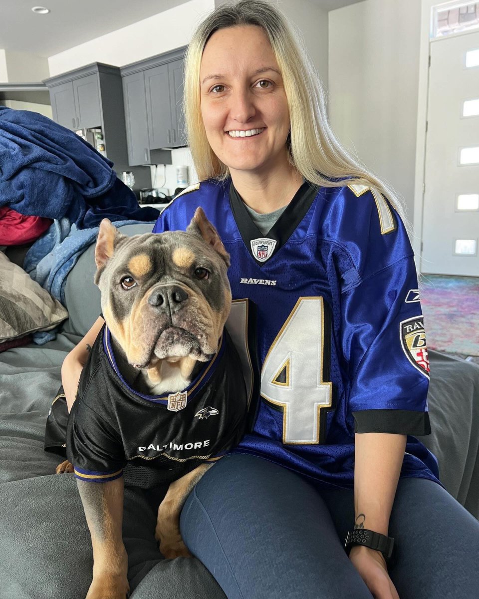 Cogs Dogs tweet media