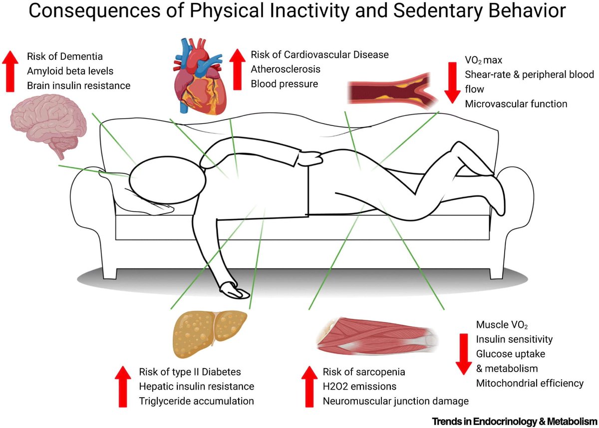 Dr Alo, DO, FACC tweet media