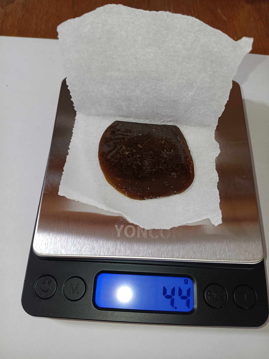 LiciousTt's tweet photo. Transformed 1 oz of OG Flower to 4.4 Grams of Rosin!
not bad at all~

El Diablo OG Smalls
Super Fire
 
what kind of numbers are you seeing.
I pressed 7grams at a time, getting about 1.1-1.2 per press.

#wegrowforyou #rosinpress #dabpress #cannaland https://t.co/kIbppCoz7L
