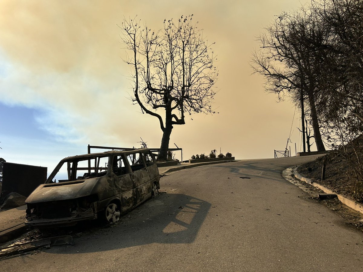 Van Espahbodi tweet media