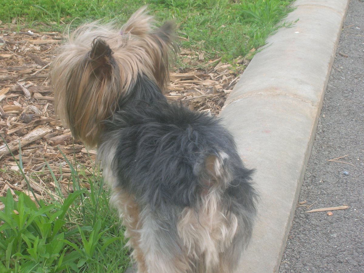 david_mp_chulin's tweet image. ❤️❤️❤️❤️