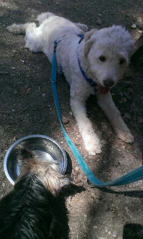 david_mp_chulin's tweet image. ❤️❤️❤️❤️