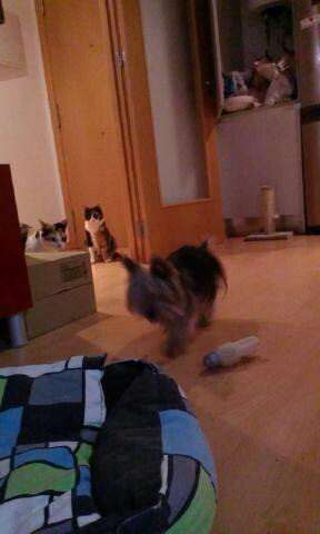 david_mp_chulin's tweet image. ❤️❤️❤️❤️