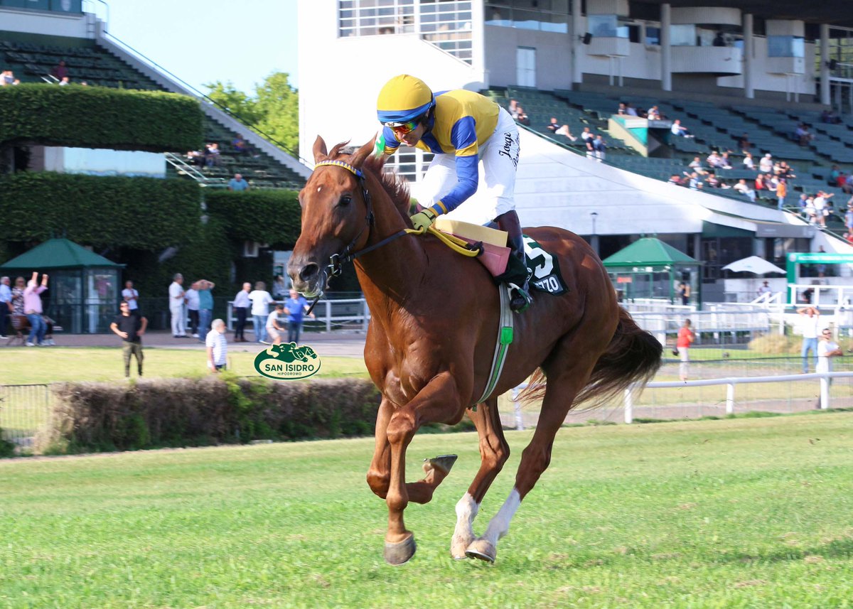 HipSanIsidro's tweet photo. ✅ En el #HSI se disputó el #ClásicoBotafogo (G3 - 2000 metros), donde se impuso #Grezzo (3 años, Hi Happy), del #StudLaProvidencia, entrenado por #JoséCorreaAranha y dirigido por #JorgePeralta. https://t.co/4Z4tAcm1BE