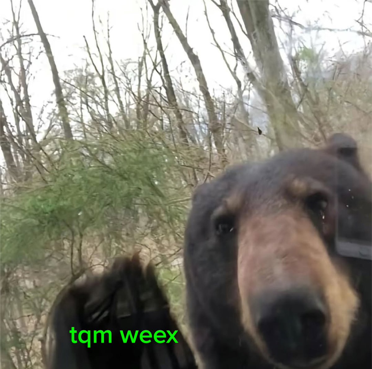 weexmx's tweet photo. ¿Quién no conoce a personas así?
Etiquétalos🤪‼️

#Weex #Telefonia #Prepago #TuMejorOpcion #SimMX
#Meme #SaldoWeex https://t.co/AVNLkwjODV
