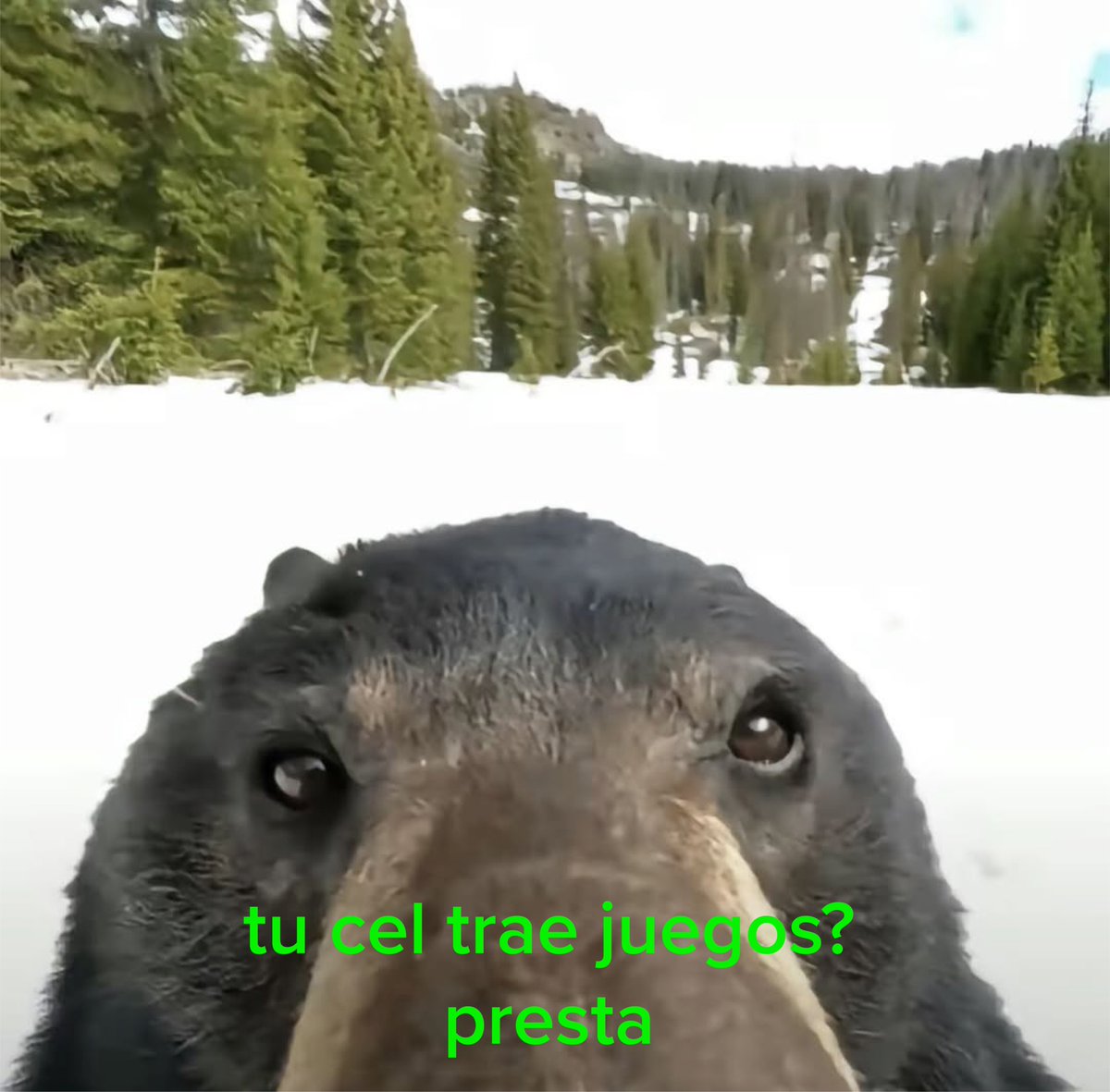 weexmx's tweet photo. ¿Quién no conoce a personas así?
Etiquétalos🤪‼️

#Weex #Telefonia #Prepago #TuMejorOpcion #SimMX
#Meme #SaldoWeex https://t.co/AVNLkwjODV