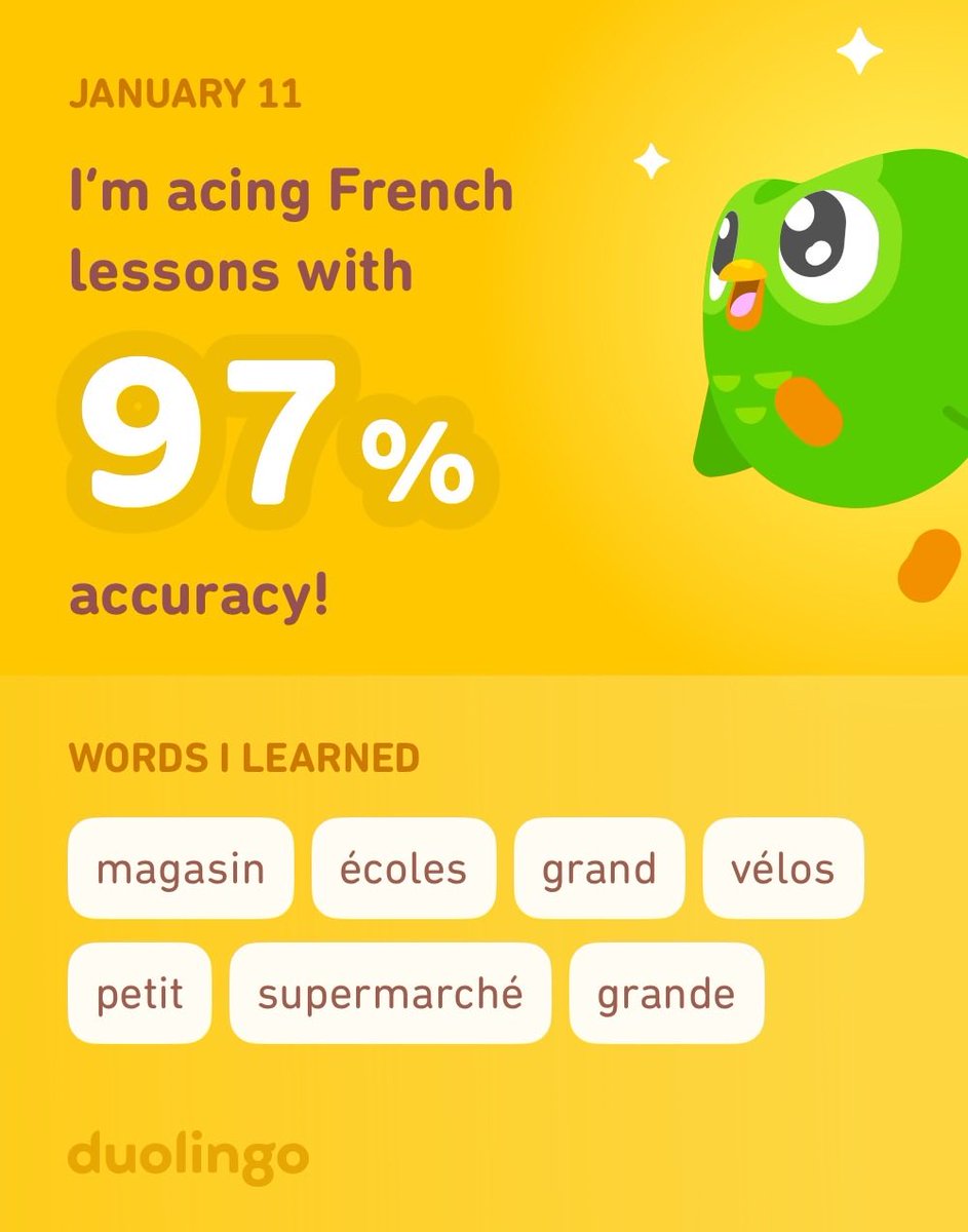 I’m learning French on Duolingo! It’s free, fun, and effective.