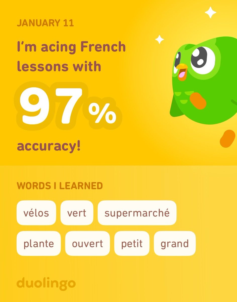 I’m learning French on Duolingo! It’s free, fun, and effective.