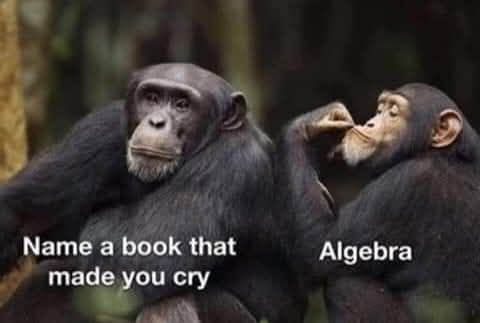 Windy101🇨🇦🇺🇸🇺🇦🐾🐾🐾 tweet media