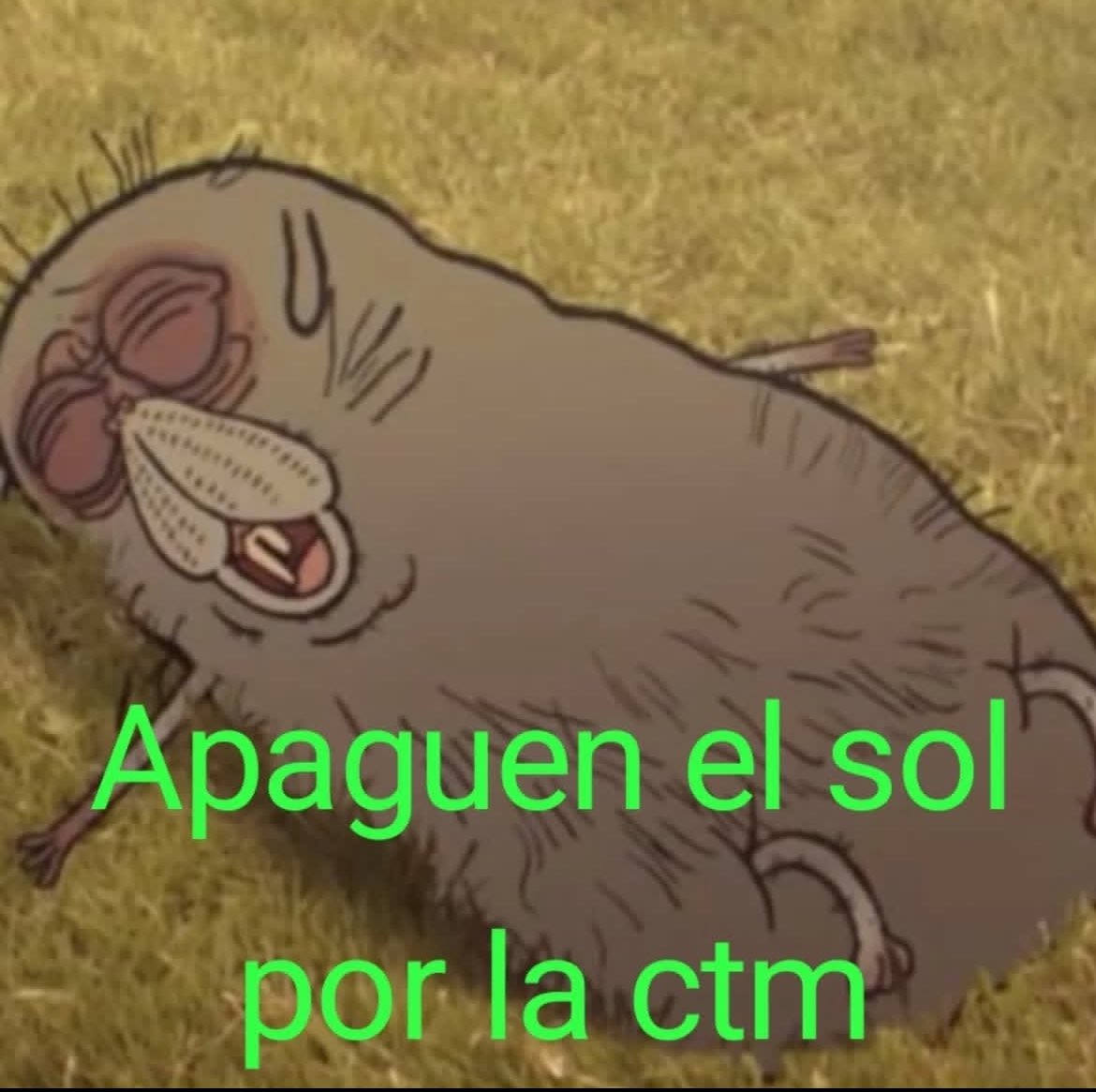 ChileanCrave's tweet photo. https://t.co/LECprEsa9O