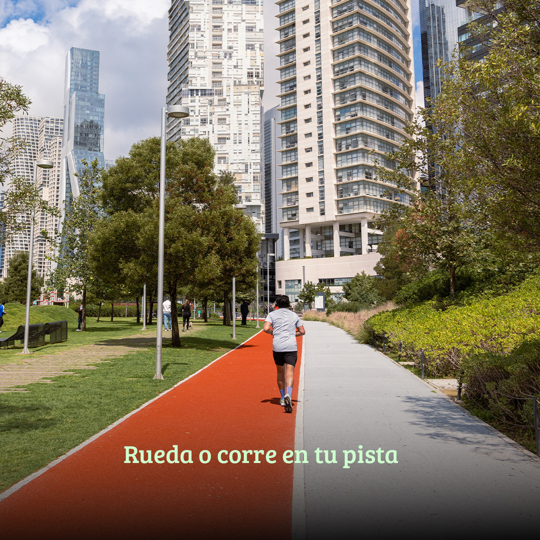 mexicanaparque's tweet photo. Naturaleza, deporte, rica comida… Actividades en el parque no faltan, ¡te esperamos! 🌿🏀🍝❤️
#parquelamexicana #lamexicana #parque #green #espaciopublico #publicspace #cuajimalpa #cdmx #fun #enjoy #funandfancyfree #nature #naturaleza #courts #alairelibre https://t.co/aN0C6fd9HD