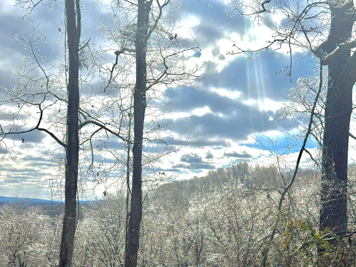 YOUNGTY's tweet image. Views from Goodner Mountain between Trussville and Pinson this morning @weswyattweather @LaurenLinahan @mattdanielwx @megtomwx @WBRCnews @WBRCweather @foxweather