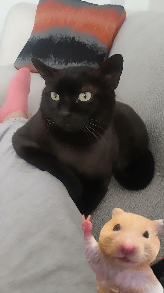 Beklediğimiz bir bey var 🤰🏻🫰🏻💜