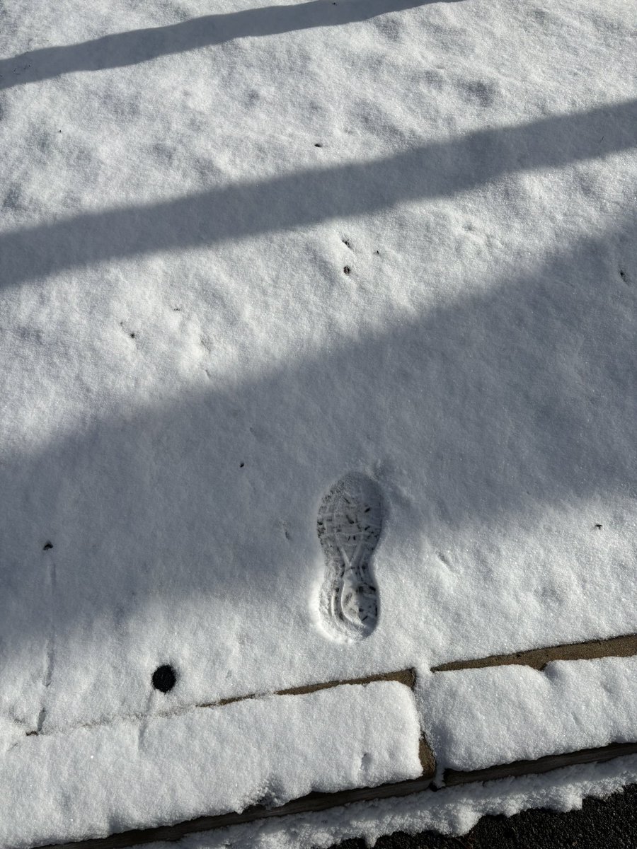 tp1obrien's tweet image. This week we have taken a big step into 2025 with @sprintmodo by running our first Teamwork Challenge Day in the US! The enthusiasm of this predominantly US-based, global team, for high team performance, was inspiring. 
#HighTeamPerformance #Teamwork #TakeAction