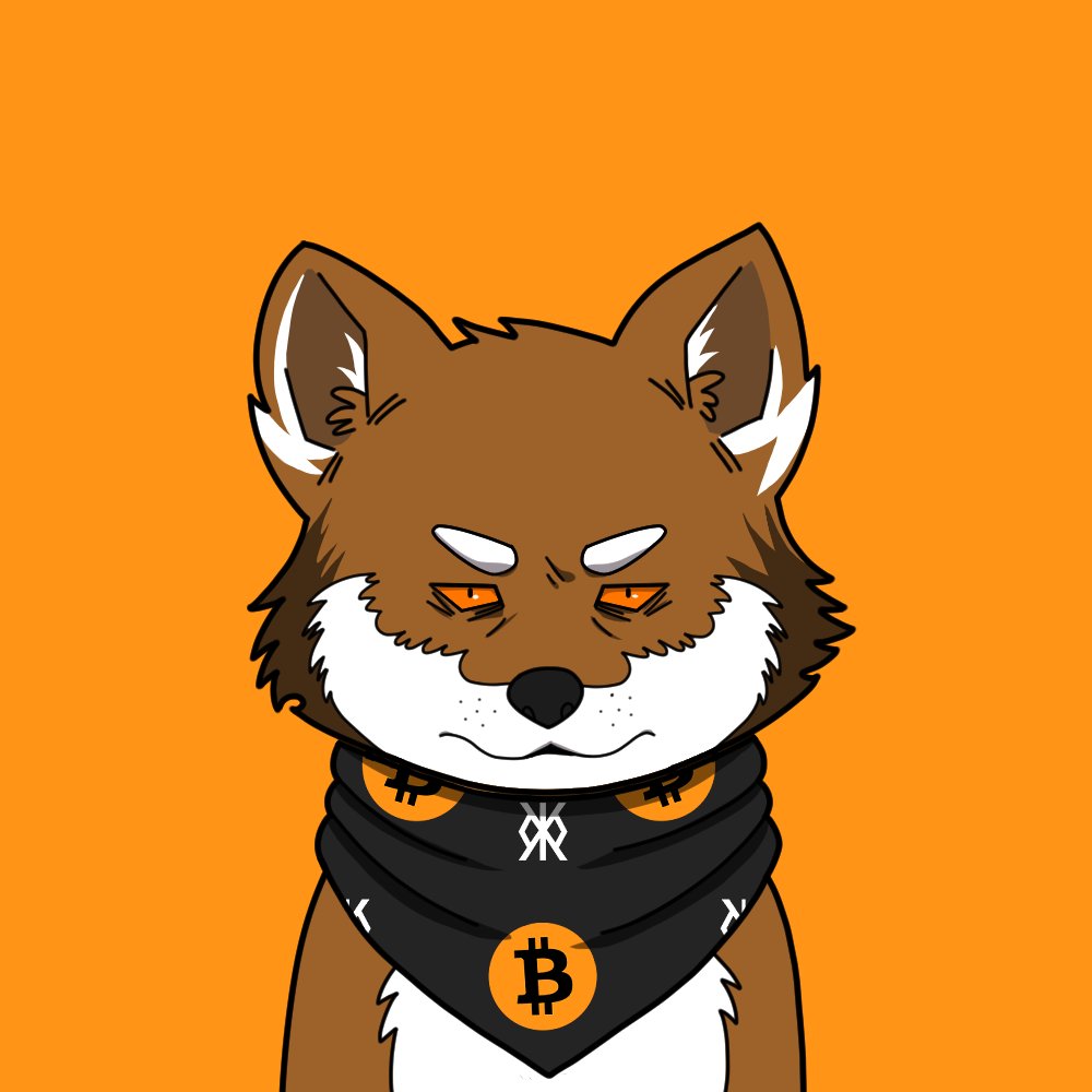 LOBO•THE•WOLF•PUP (@lobothewolfpup) on Twitter photo I am a Wolf, I am $LOBO. I am a Wolf, I am $LOBO.