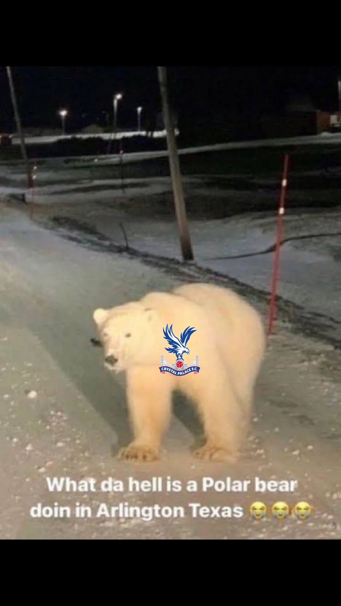 BenLavin4's tweet photo. @NOT_MOTD https://t.co/oO4t06DzT1