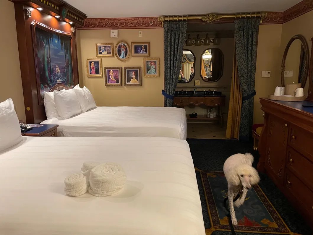 AnimalNewsNet's tweet photo. Bring your dog on your Disney Vacation! Disney planning tool can show you how. 

#DisneyWithDogs #DogFriendlyVacation #DisneyWorld #PuppyLove #VacationPlanning #BringYourPet https://t.co/o54ilLczx3