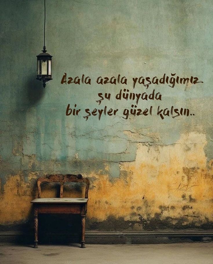 biyusufi's tweet photo. Azala azala yaşadığımız şu dünyada bir şeyler güzel kalsın.. https://t.co/60q5nLIwlw