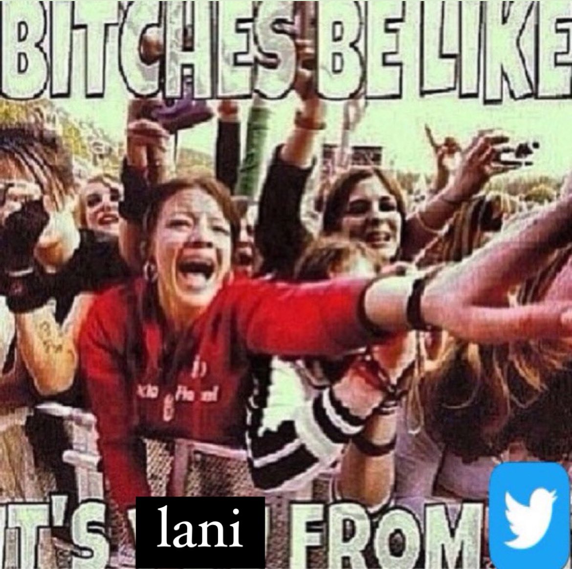 lani ✰ tweet media