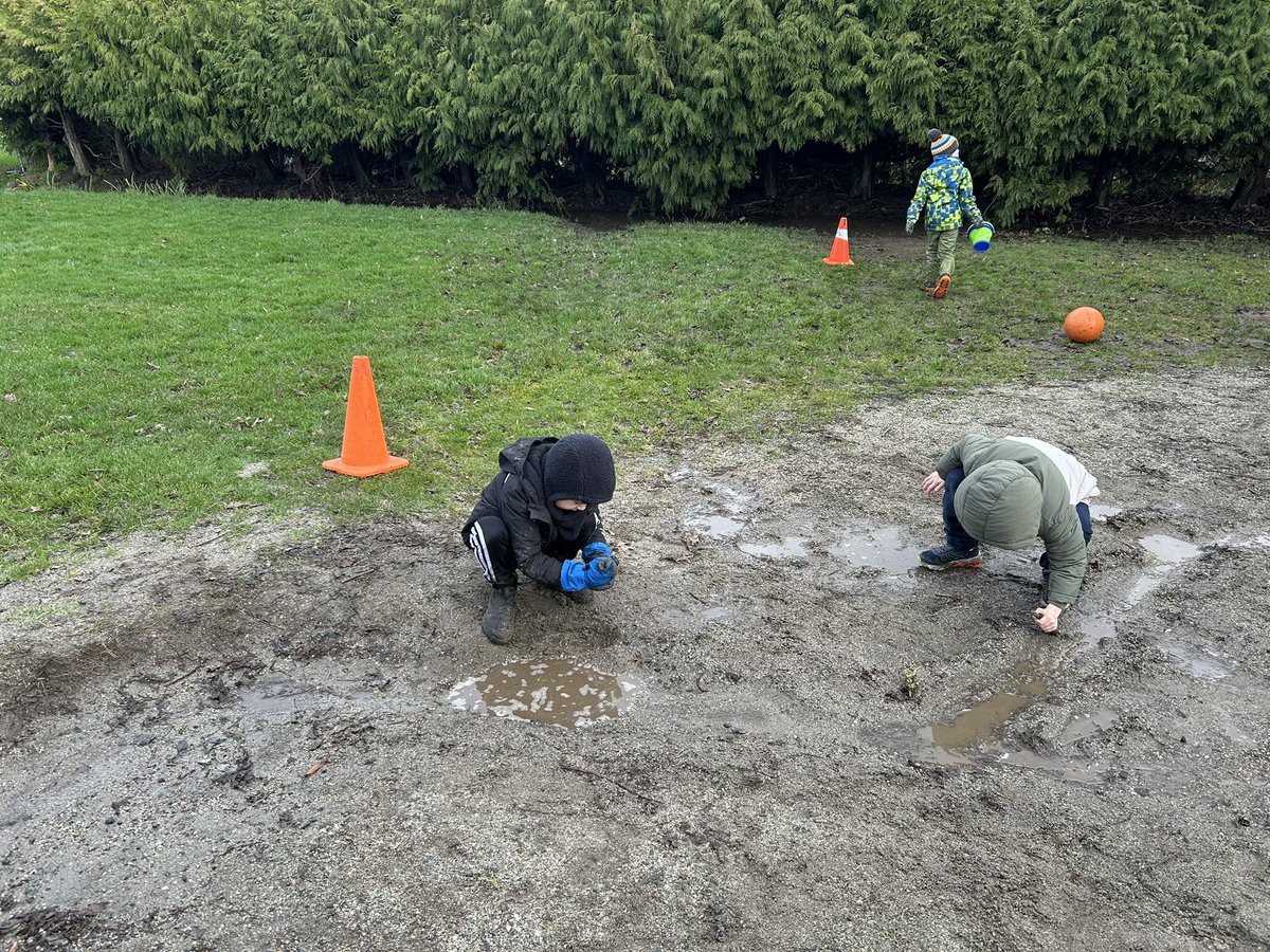 LadnerElem's tweet photo. It was great to see everyone back after a restful holiday! We saw students excited for outdoor play, working together to make the letter S, trying out a new math resource (Times Table Rockstars), and rival football fans talking up the playoffs this weekend. @deltasd37 https://t.co/AXoDassd0v