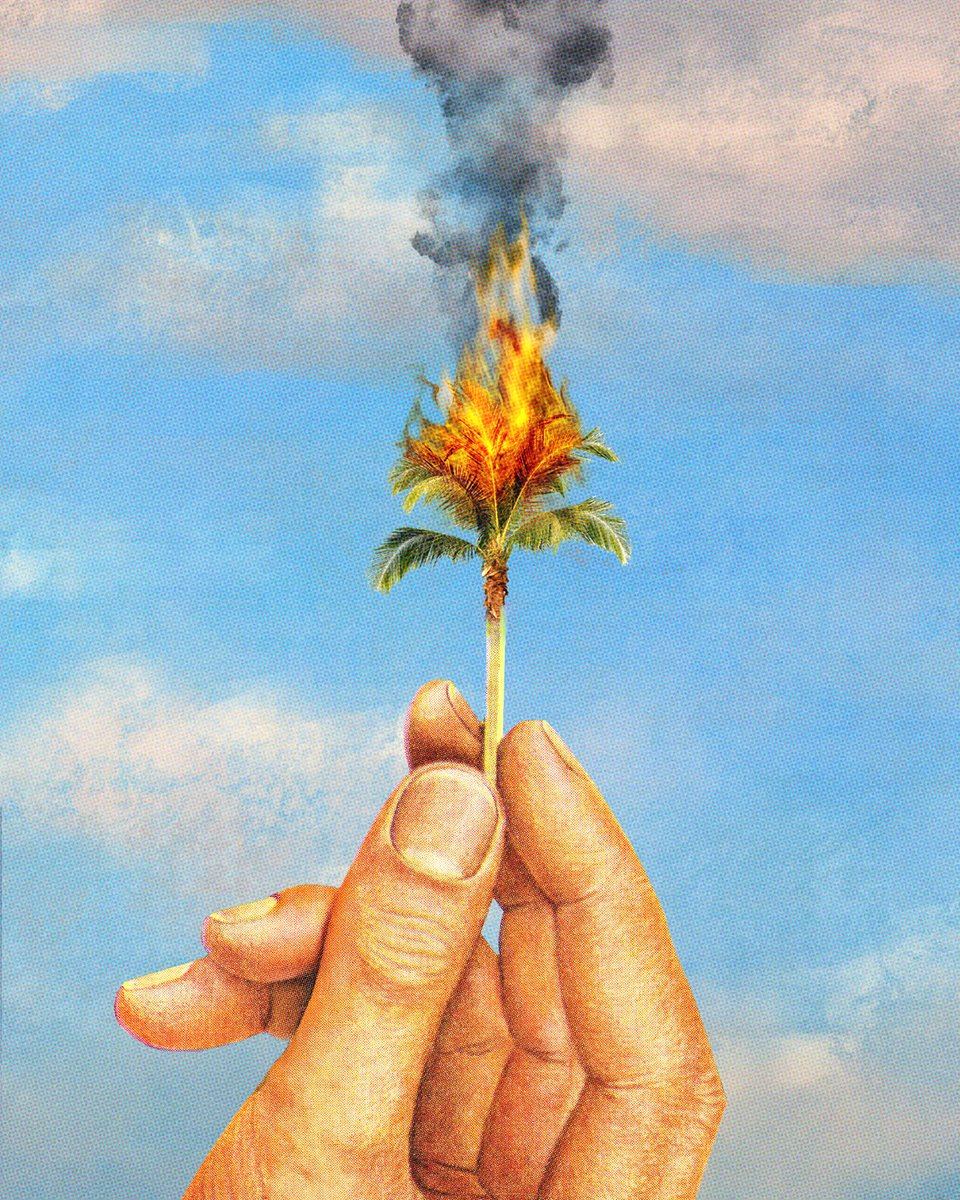 IrishRed_Design's tweet image. Humanity lit this match
#california #lafires #fires #climate #change #sunsetblvd #dystopia #digitalcollage #support #aid #lawildfires #losangeles #manmade