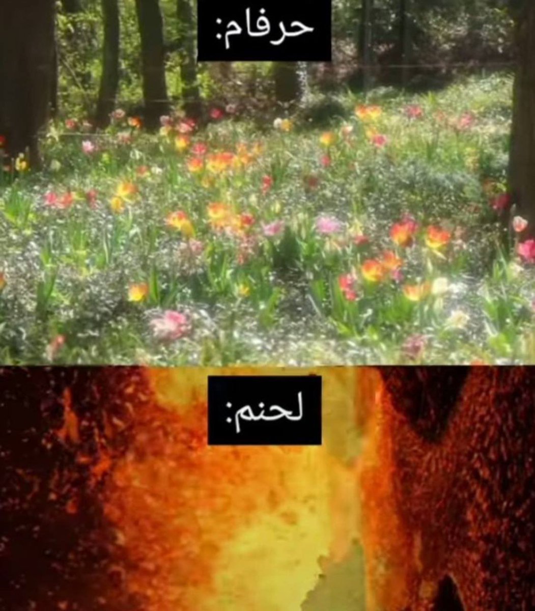 mohamadammmm's tweet photo. خیلیامون: https://t.co/JeerUVZy14