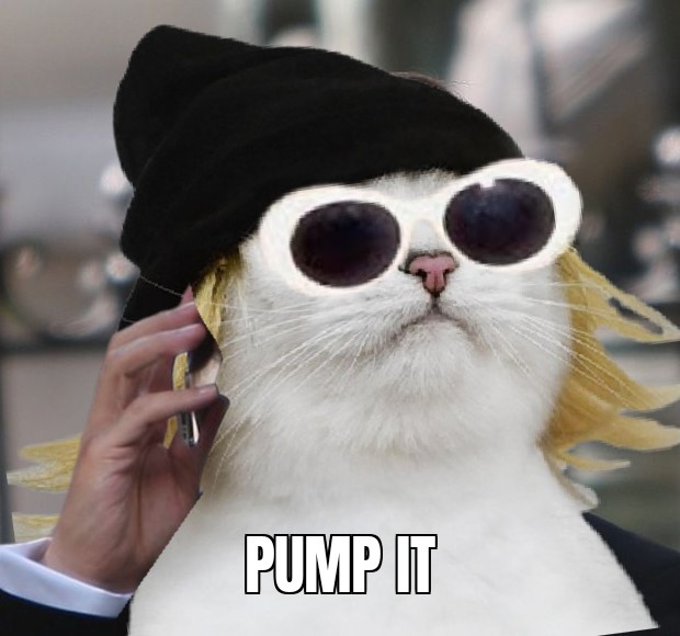 Run it up.

$NIRVANA 

CBjVZznuDMLVnJ3H7kx2NSTZsZfDUYDtJ7FtoTBgpump