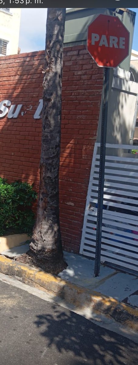 elsuazo's tweet photo. @AlcaldiaDN @CarolinaMejiaG 

Buenas tardes este camión F23165 indicó que no se lleva la basura por que tiene que estar sin vehículo la calle.  La puerta de la basura está totalmente libre y sólo se necesita abrir. Pero prefirieron irse. https://t.co/HNBmSCMbGn