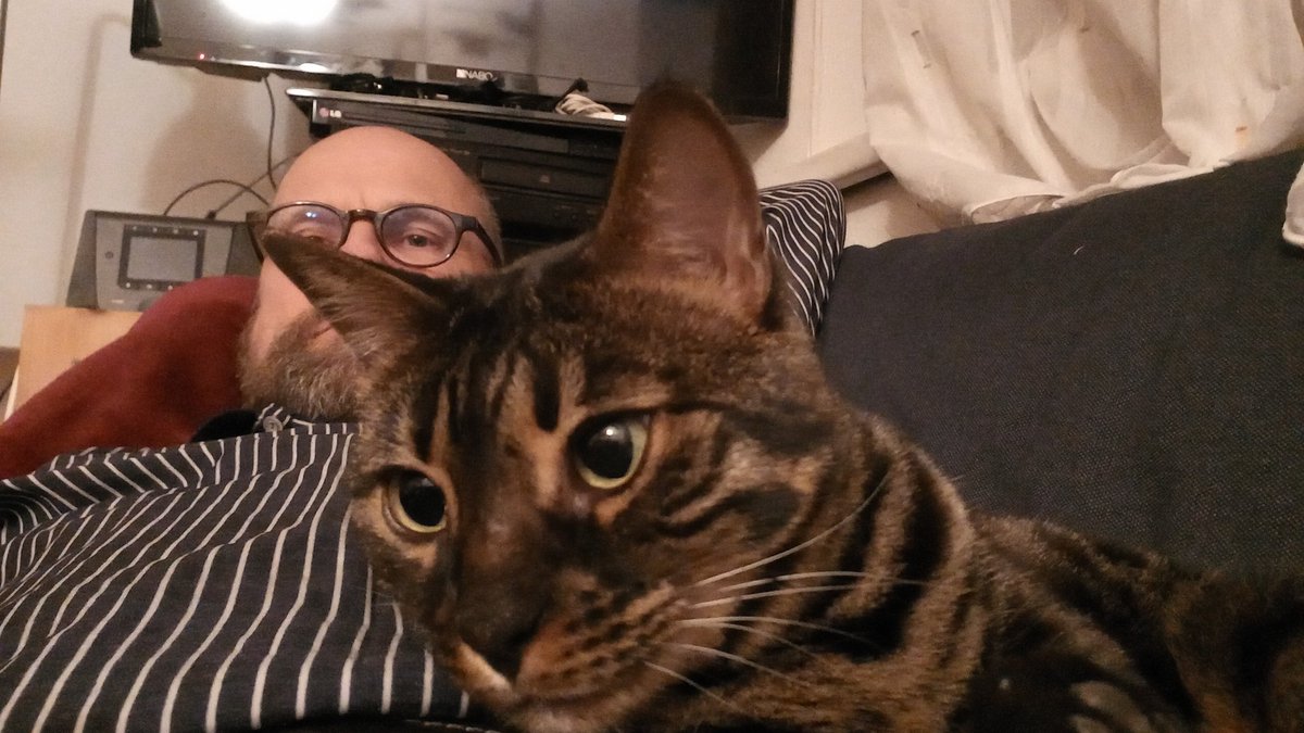 Martin Kutej tweet media