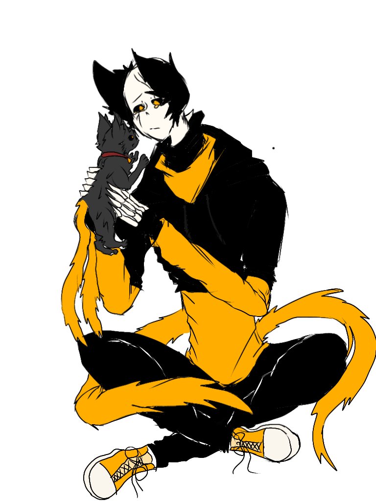 猫😺