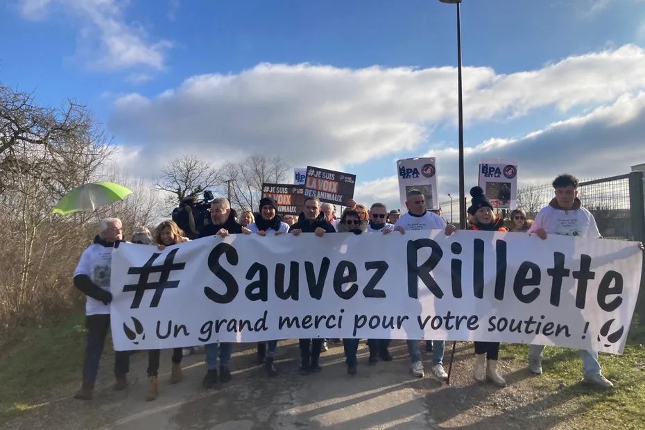France3CA's tweet photo. Sanglier Rillette : 500 personnes à la manifestation de soutien dans l'Aube
https://t.co/3D2AhtxZed https://t.co/7sLP5Lmzsm