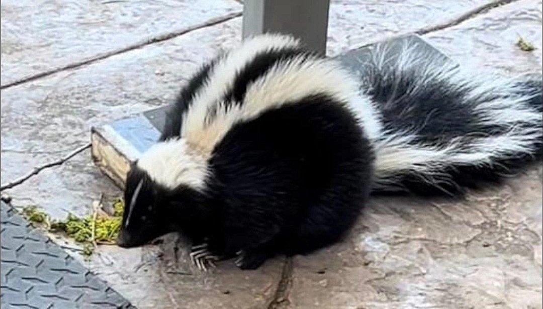 frenlee1234 tweet media