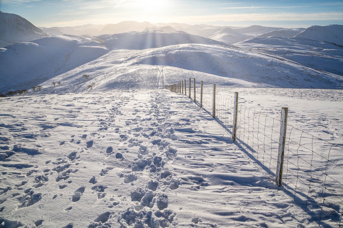 andrewswalks's tweet photo. Yesterday's walk in a winter wonderland https://t.co/FcgvfdBCFy