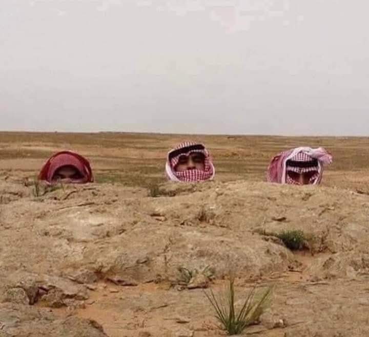 Ali AlBadiri tweet media