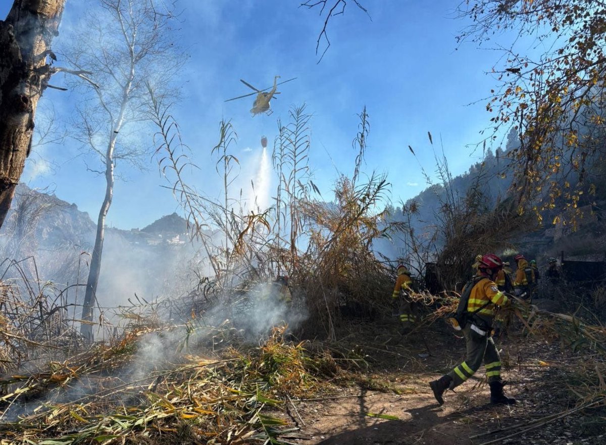 112rmurcia's tweet photo. Servicios de emergencias acuden a un doble incendio en las márgenes del rio Segura, en #Abarán
🚒@BomberosCEIS_RM
👨‍🚒@defensaforeMUR
🚁@112rmurcia
➡️https://t.co/zMoM5M4ZVe
(Fotos facilitadas por BRIFOR) https://t.co/kKOl8I5hgK