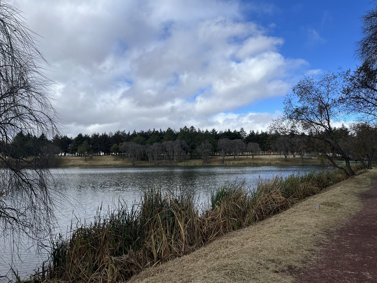 Gracias <a href="/rimoba/">Ricardo Moreno</a> quedó muy linda la Alameda 2000, limpia, podada, nivelada. Gracias por acordarse de los corredores, ojalá le siga dando mantenimiento. Corro desde hace 20 años ahí y es la primera vez que la veo tan bonita 🙌🏻