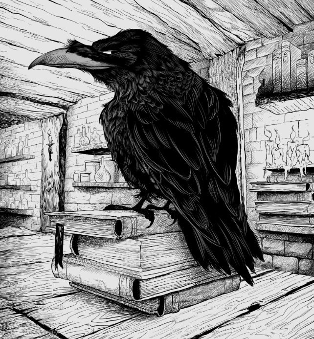 Dave Mottram tweet media