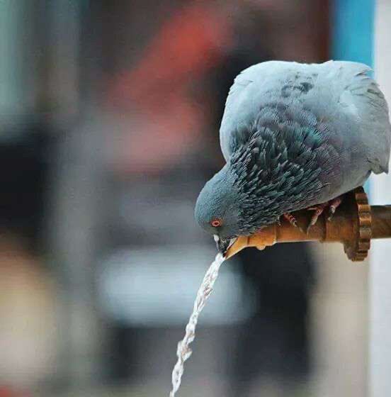 ''
ما فاتك لم يُخلق لك وماخُلق لك لن يفوتك فإطمئن