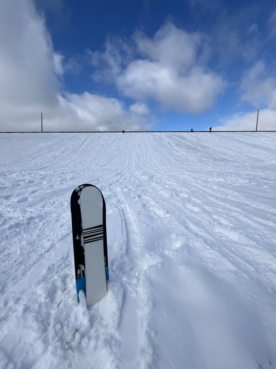 Ryan Bracewell tweet media