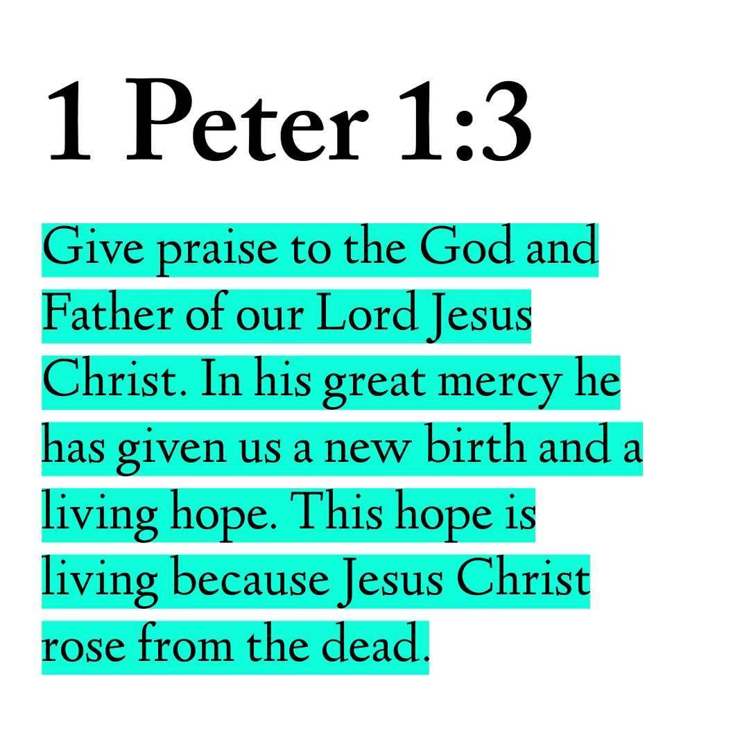 Holy Bible tweet media