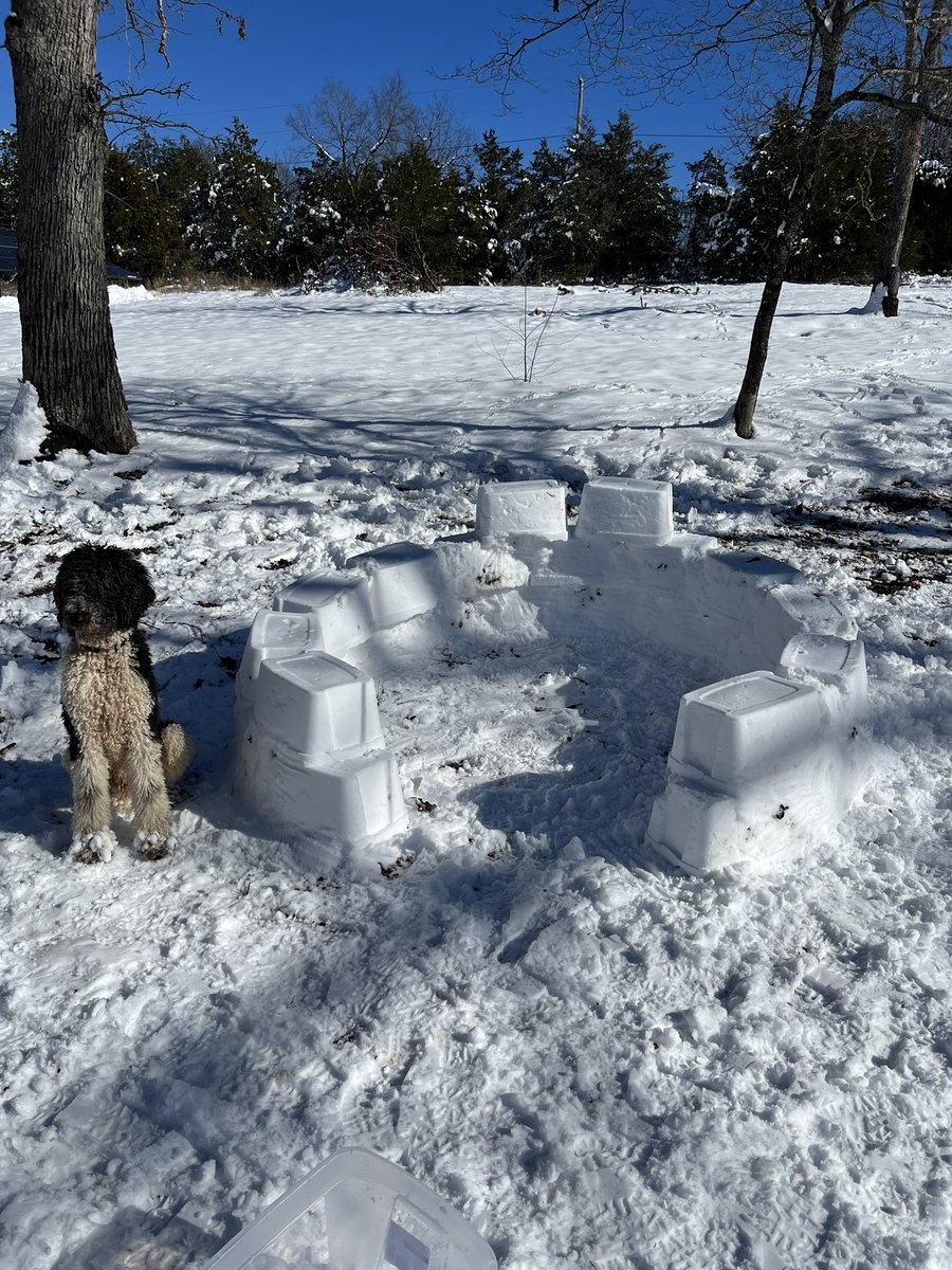 Femgirl_Fishing's tweet photo. Igloo progress update 1# we have two layers. My arms are tired https://t.co/EBTKoFlqWk