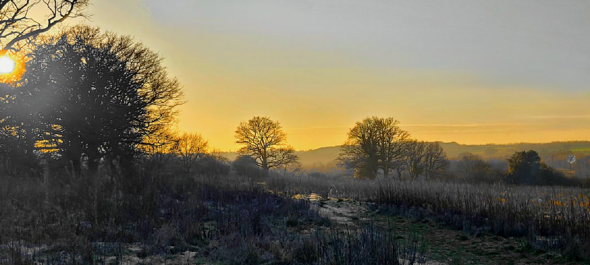 garytrfc's tweet photo. Late afternoon in a frosty #HeartwoodForest in chilly #Wheathampstead https://t.co/Jkp6NZgXqc