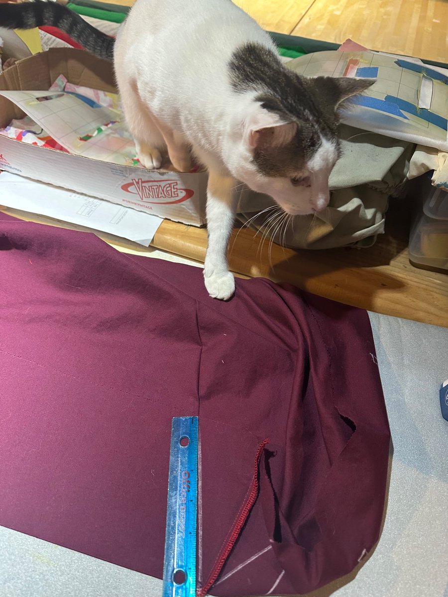 SchroderStark's tweet photo. It’s #Caturday and I’ve been helping in the sewing room today.  I helps hold the fabric while Dads marking the dags on this Houppelande he’s making.

#CatsOfTwitter #CatsOfX #MySCA https://t.co/wh3SlHdSN2