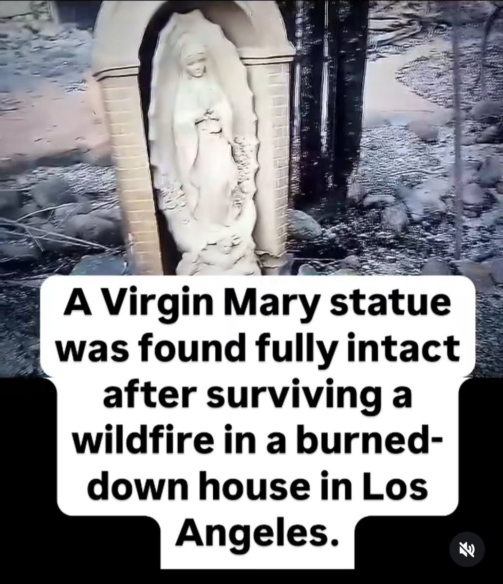 SRMthepoet's tweet image. Does not look burnt at all
#God #LosAngelesFire #ALfire #virginmary #wildfire #fire