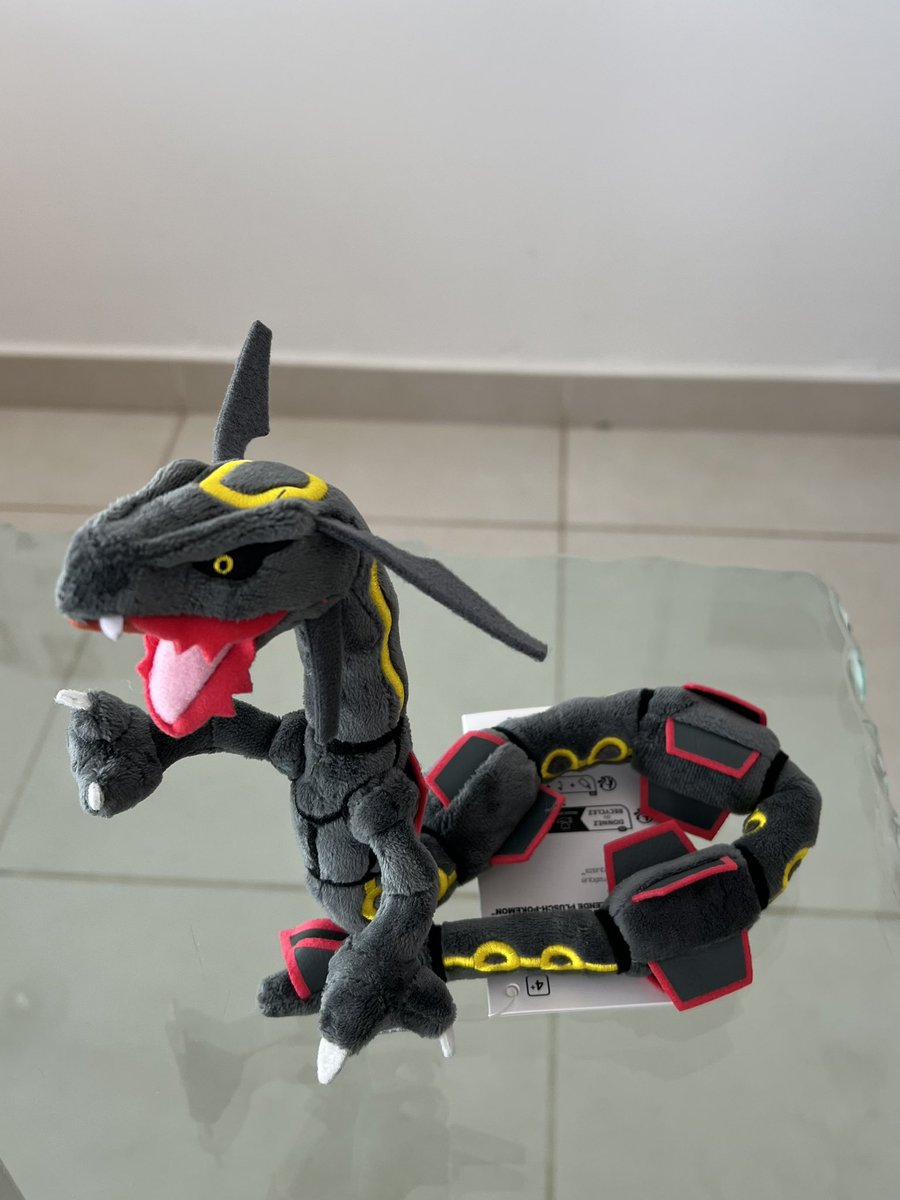 Tengo un nuevo mejor amigo. 🐉🖤

#Pokemon #ShinyRayquaza